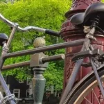 Bike ride for fitness