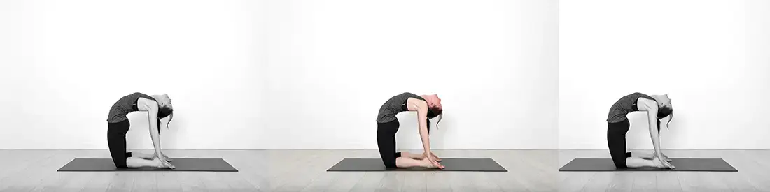 Camel Pose Ustrasana