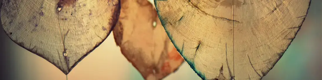 image of three carved hearts