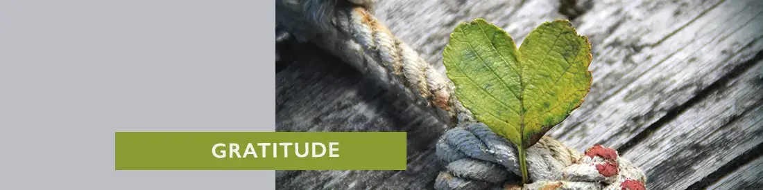 gratitude