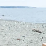 Live Streaming Video