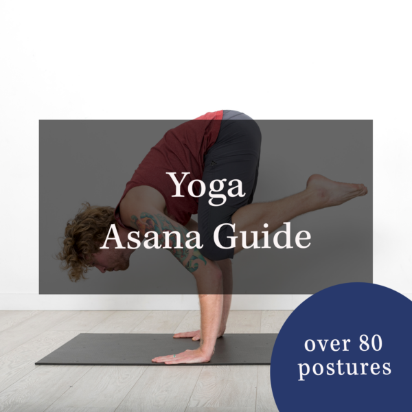 Asana Walkthrough Yoga Manual - Complete Asana Section - Lesson Plan for Yoga Trainers