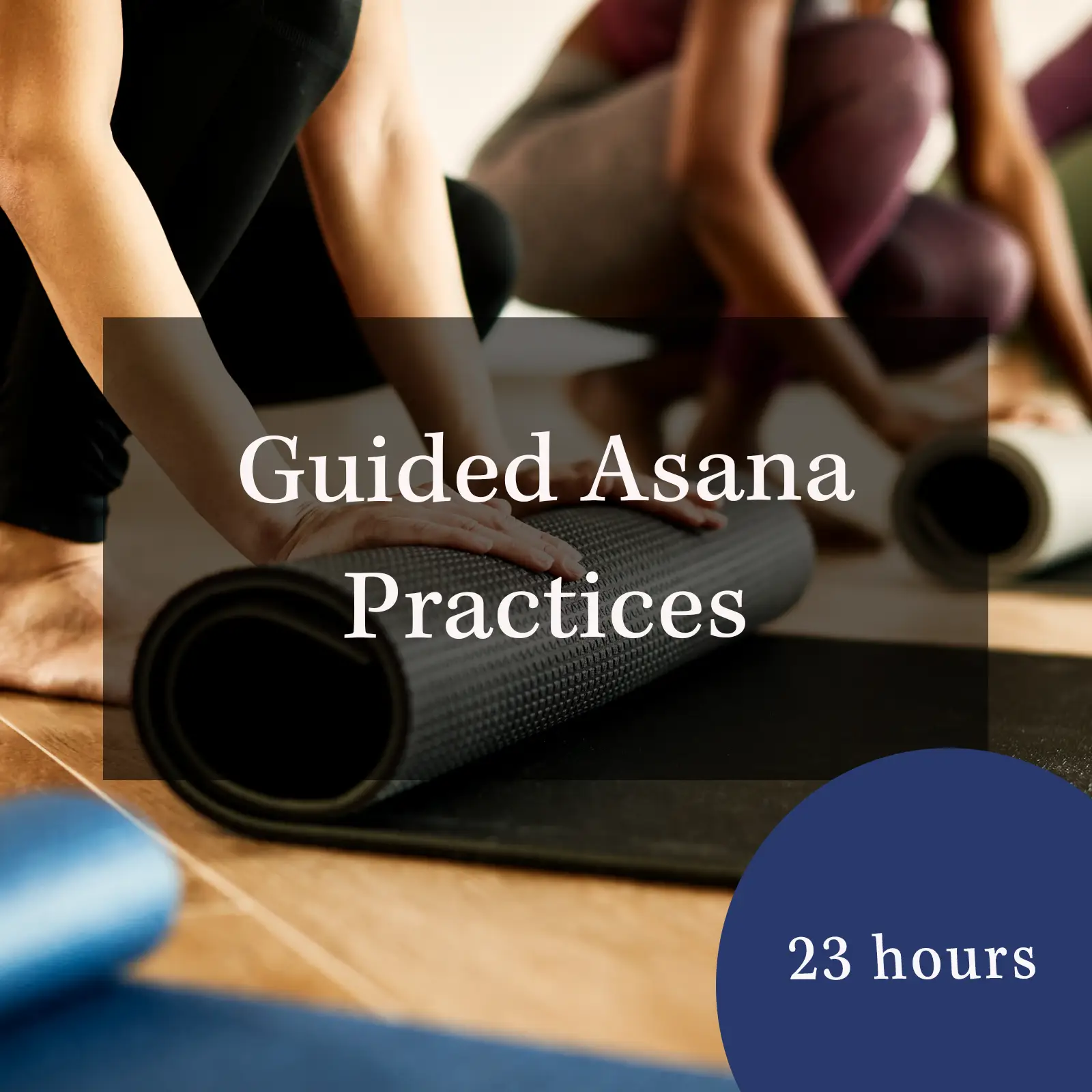 Guided Asana Practices for Yoga Teacher Training