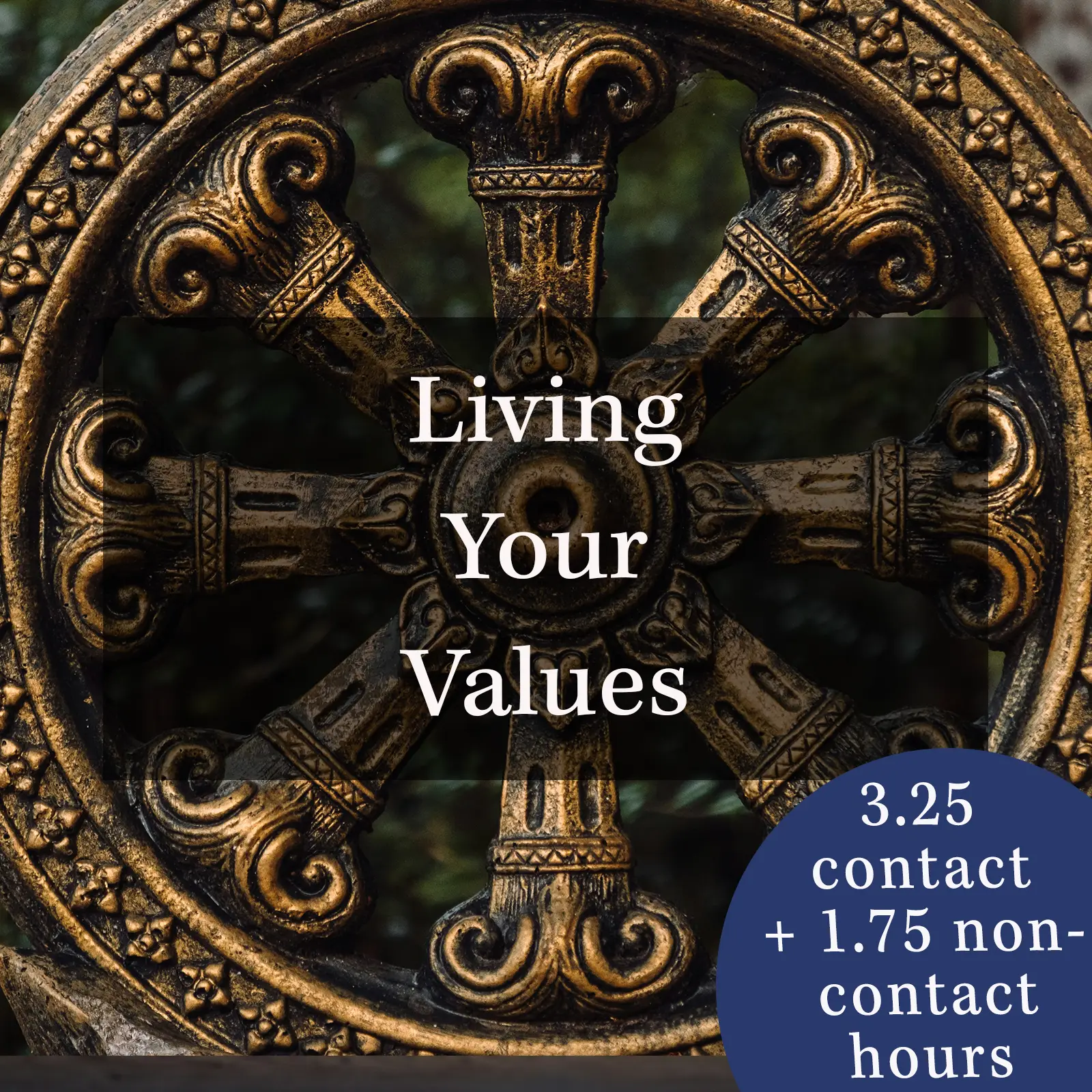 Living Your Values ~ Lesson Plans for 300 Hour YTT